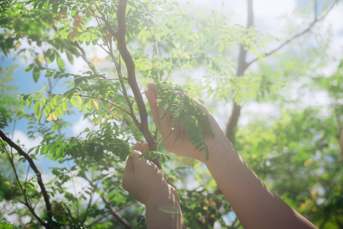 【年末年始の発送業務について】