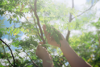 【年末年始の発送業務について】