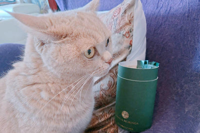 腸活アドバイザー菅原みどりのアリンガモリンガ１００日チャレンジ＃2