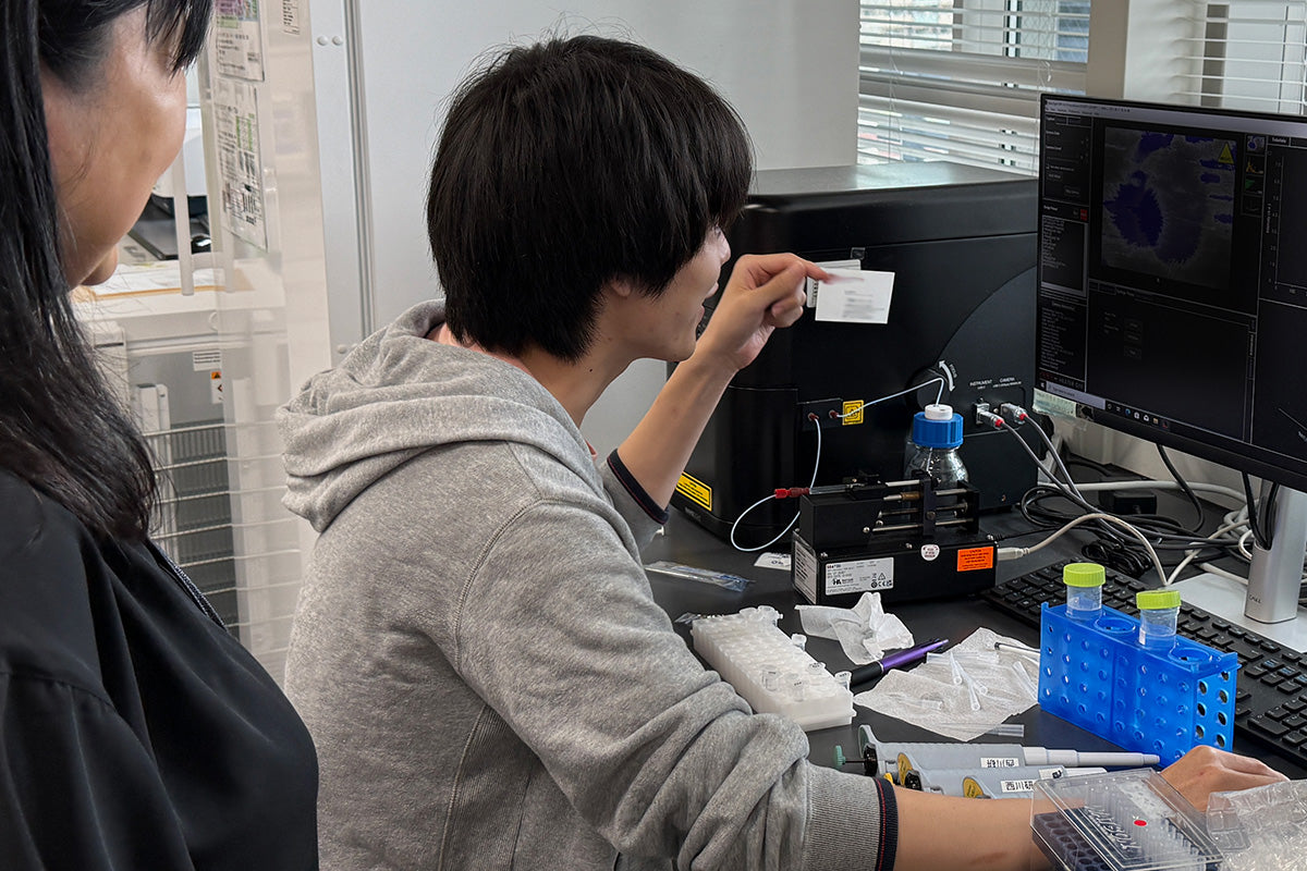 モリンガから未知の粒子を！（後編）