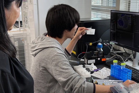 モリンガから未知の粒子を！（後編）