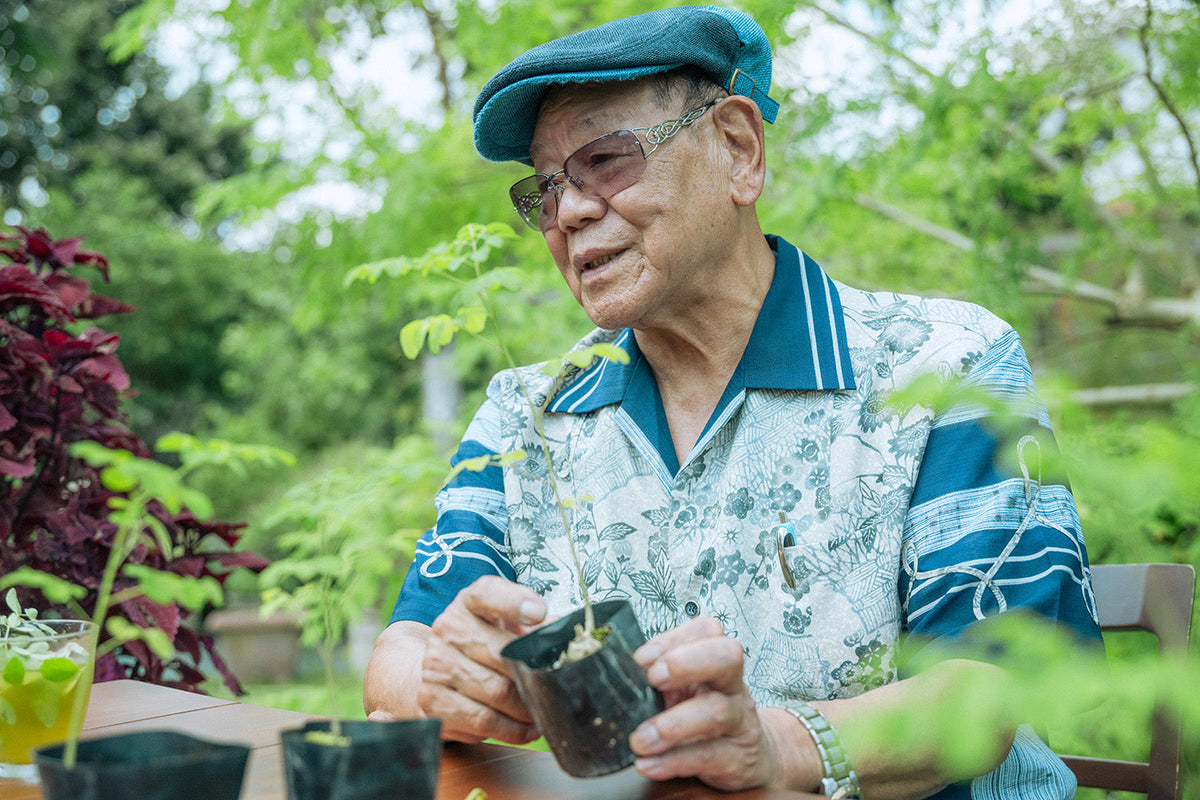 沖縄が育む薬草の神秘