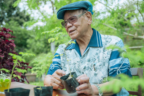 沖縄が育む薬草の神秘