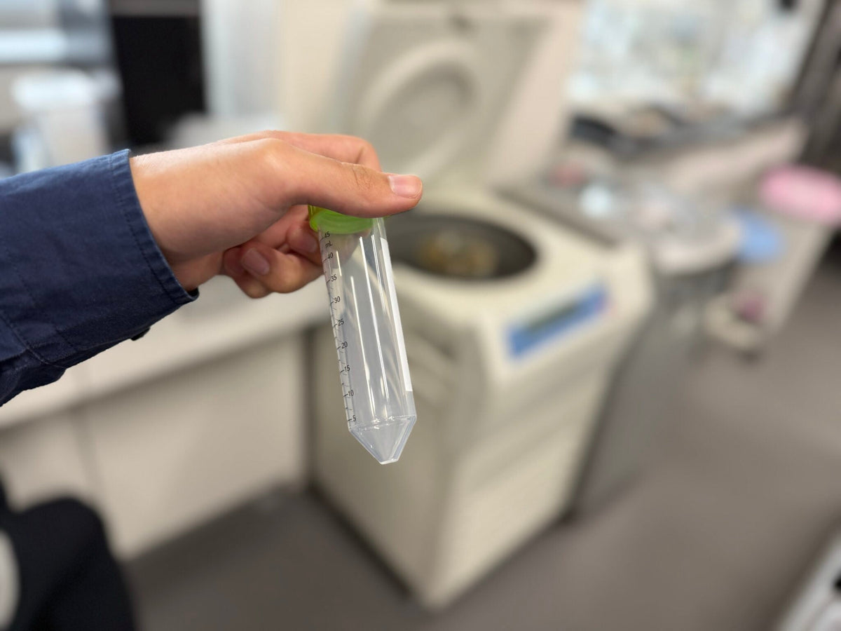 モリンガから未知の粒子を！（前編）