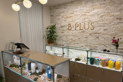 よもぎ蒸しならぬモリンガ蒸しで美肌＆睡眠の質UP