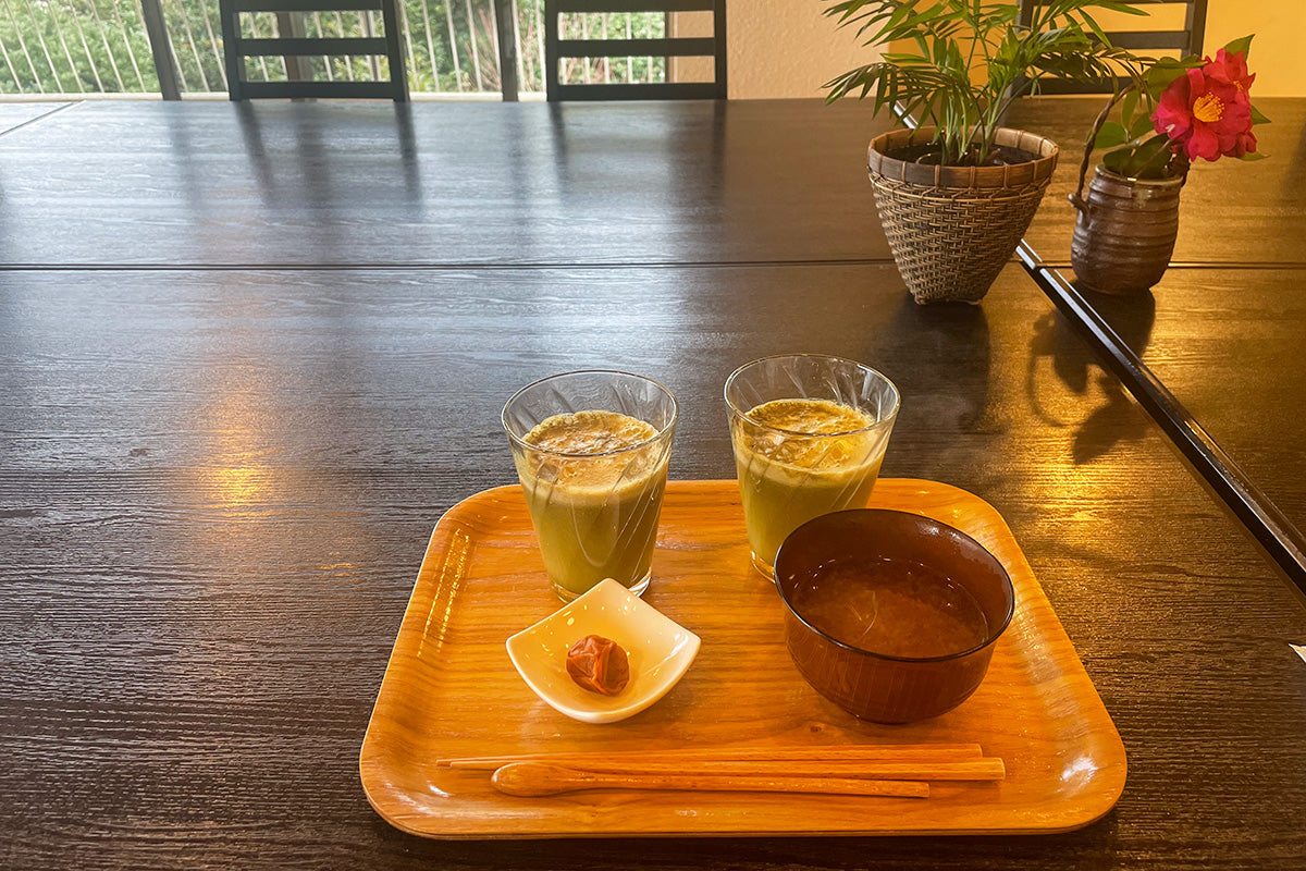 モリンガ断食できる宿に泊まってみた〜10日間モリンガ断食の全記録（後編）