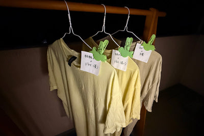 モリンガ染め体験レポート【乾燥葉編】